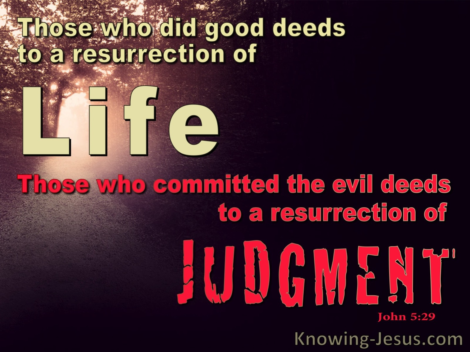 John 5:29 Life or Judgement (red)